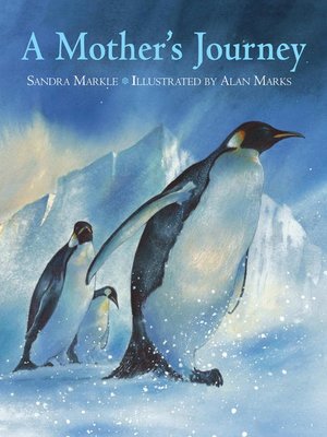 cover image of A Mother's Journey